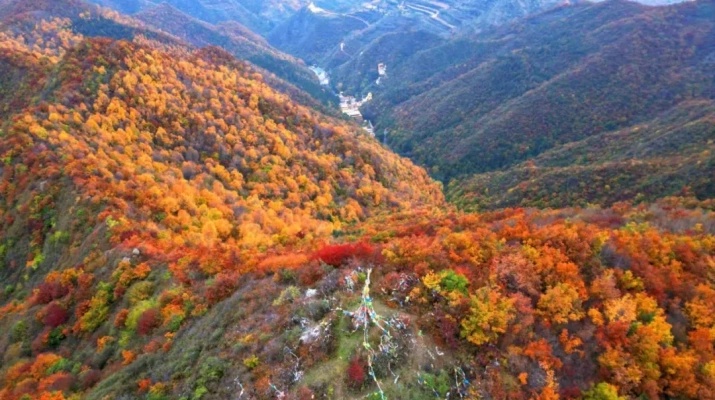 202510091759971904132808.jpg 640 (7).jpg